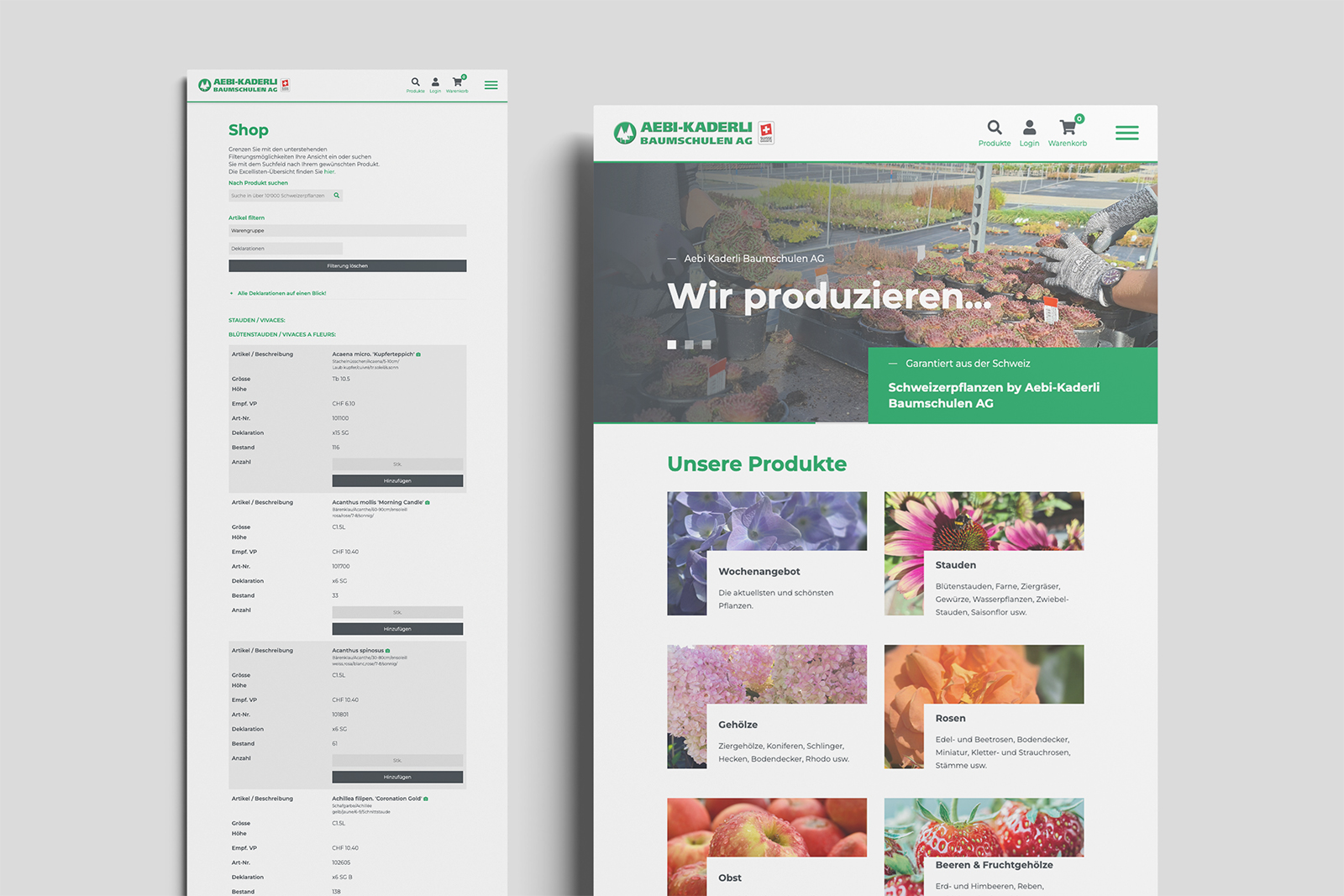 Webdesign