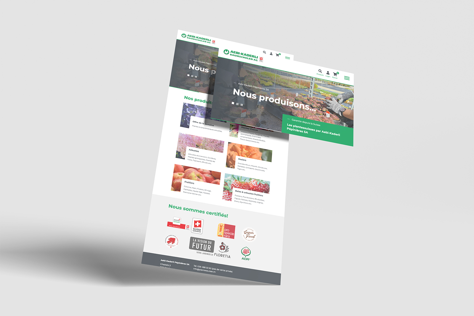 Webdesign